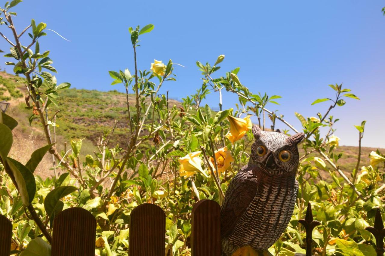 Carmela Casa de Férias Vallehermoso